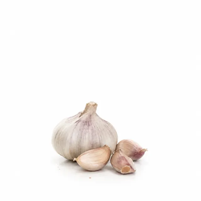 Garlic Infused In Sunflower Oil