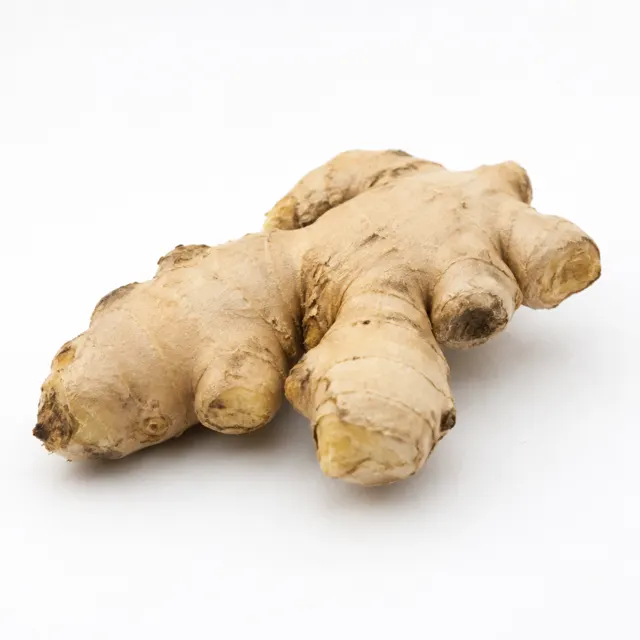Ginger Hydroglycerinated Extract
