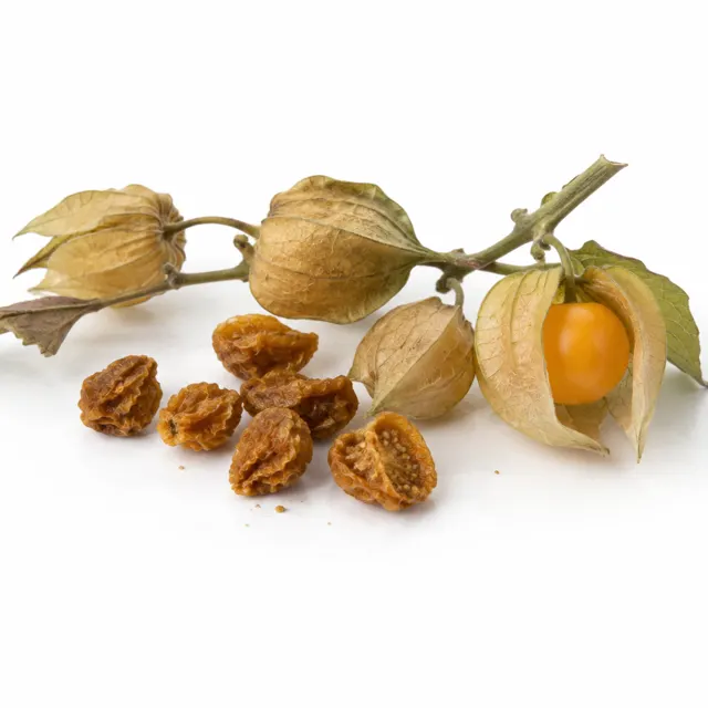 Golden Berries - Incan Berries Organic
