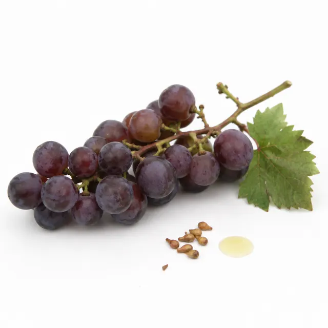 Grapeseed Organic Oil