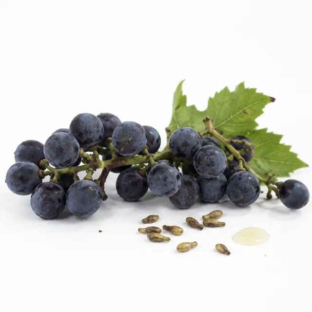 Grapeseed Refined Oil
