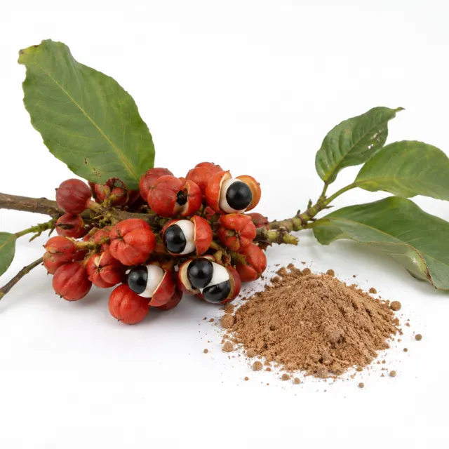Guarana Powder Organic