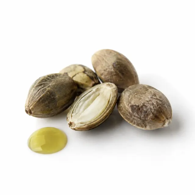 Hemp Oil