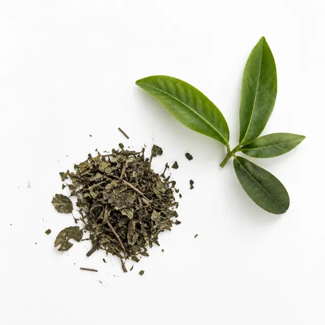 Ilex Guayusa Powder Organic