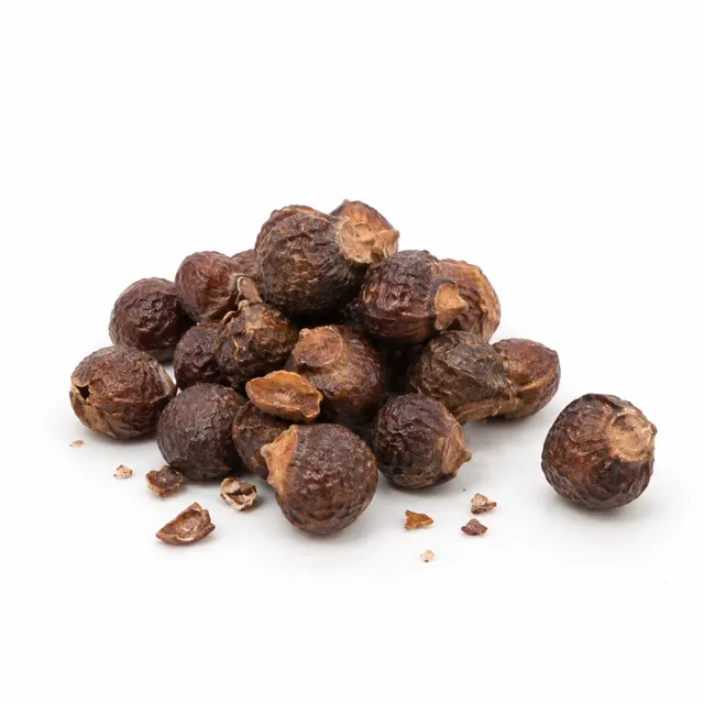 Indian Soap Nuts Sapindus mukorossi 1 kg with bag