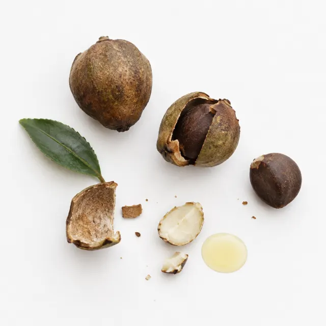 Japanese Camellia Refined Organic Oil