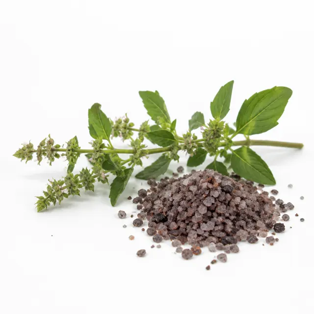 Kala Namak Salt Fine 0,3 - 0,5 mm