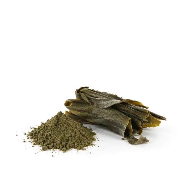 Kelp Powder Organic