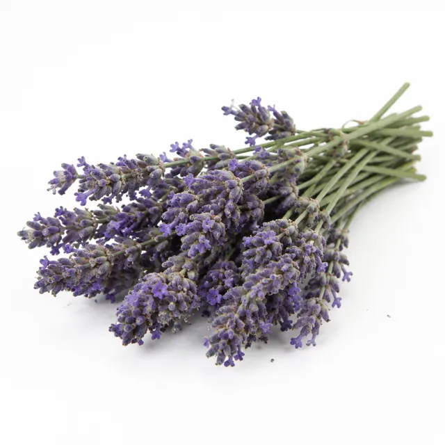 Lavandin Abrial Organic Essential Oil