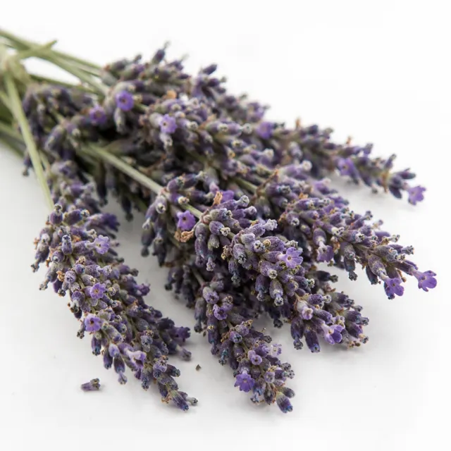 Lavandin Grosso Essential Oil