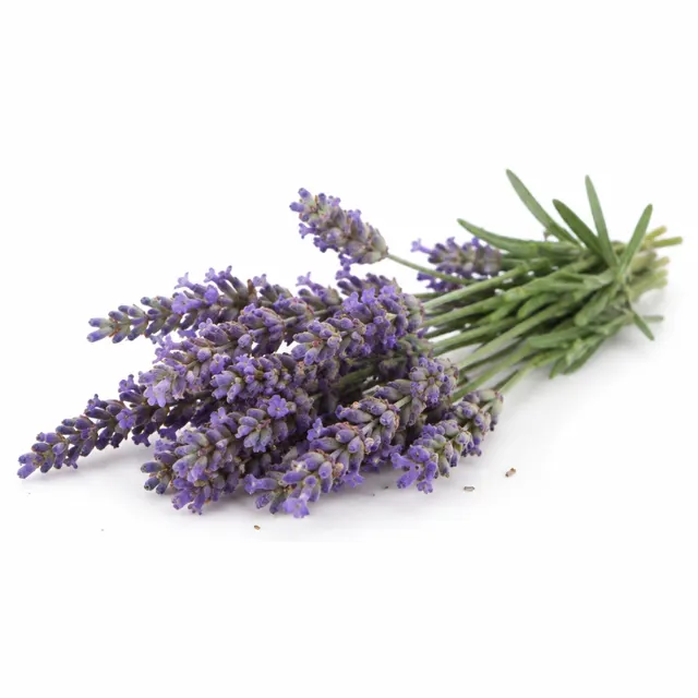 Lavandin Grosso Organic Essential Oil