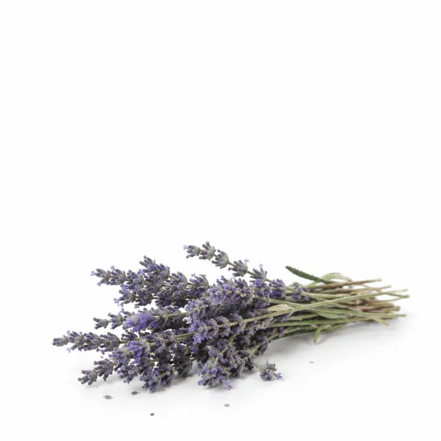 Lavandin Super Essential Oil