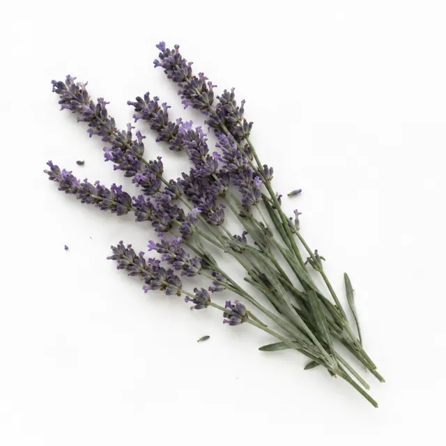 Lavandin Super Organic Essential Oil