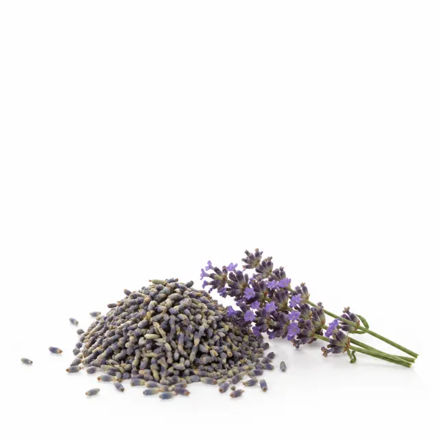 Lavender Blossom Organic