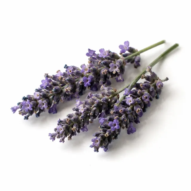 Lavender Organic Hydrolat