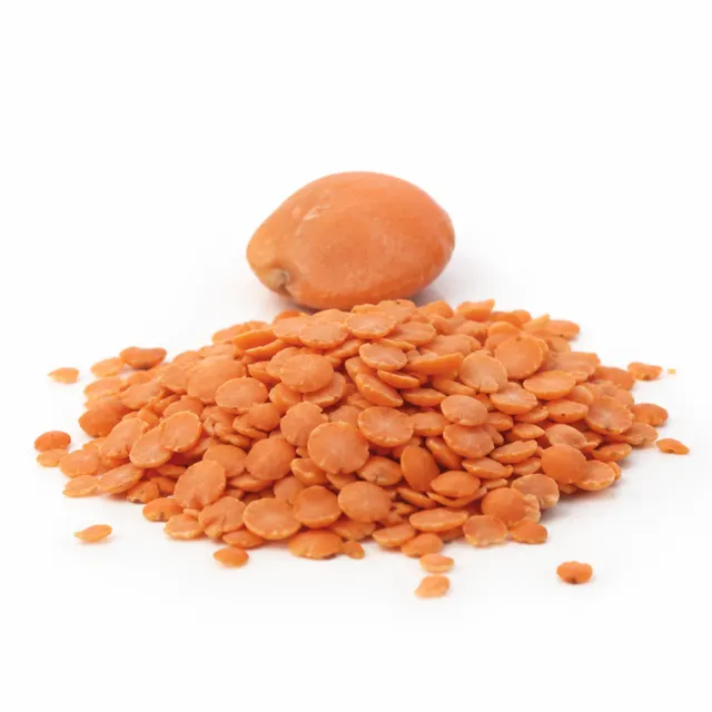Lentils Red Split Lightly Oiled Organic