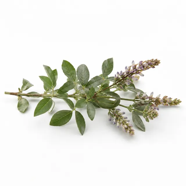 Licorice Hydroglycerinated Organic Extract