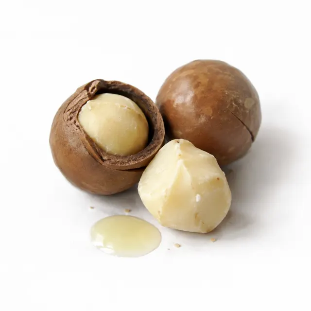 Macadamia Refined Oil