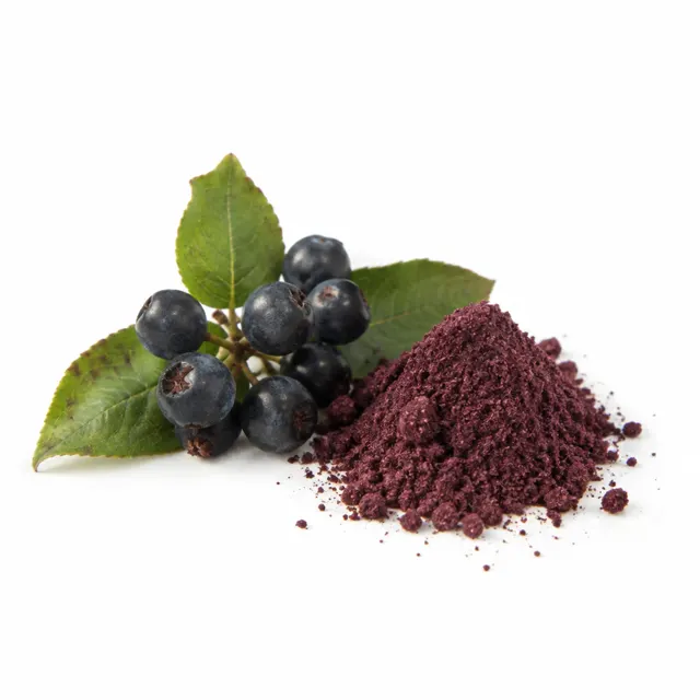 Maqui Berry Powder Freeze Dried Organic
