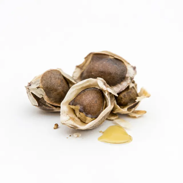 Moringa Organic Oil