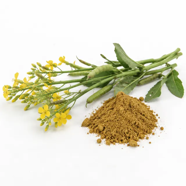Mustard Seed Powder Brown Sarepta Brassica Juncea Organic