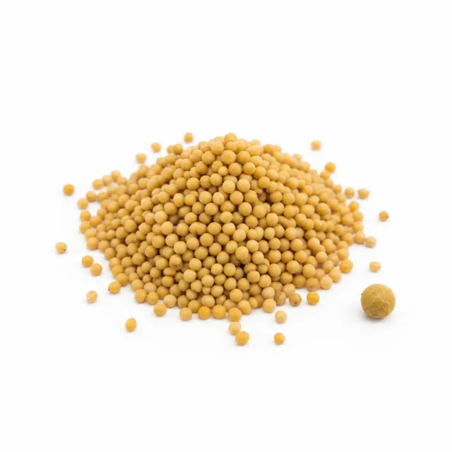Mustard Seed Whole Yellow Sinapis Alba Low Erucic Acid Organic