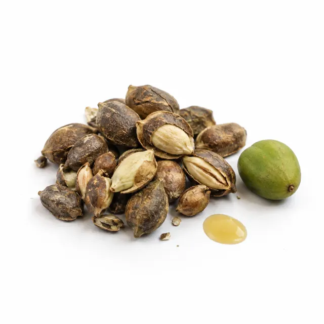 Neem Oil