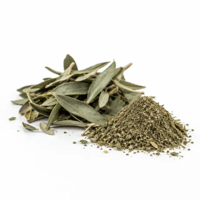 Olive Leaf Dried Plant