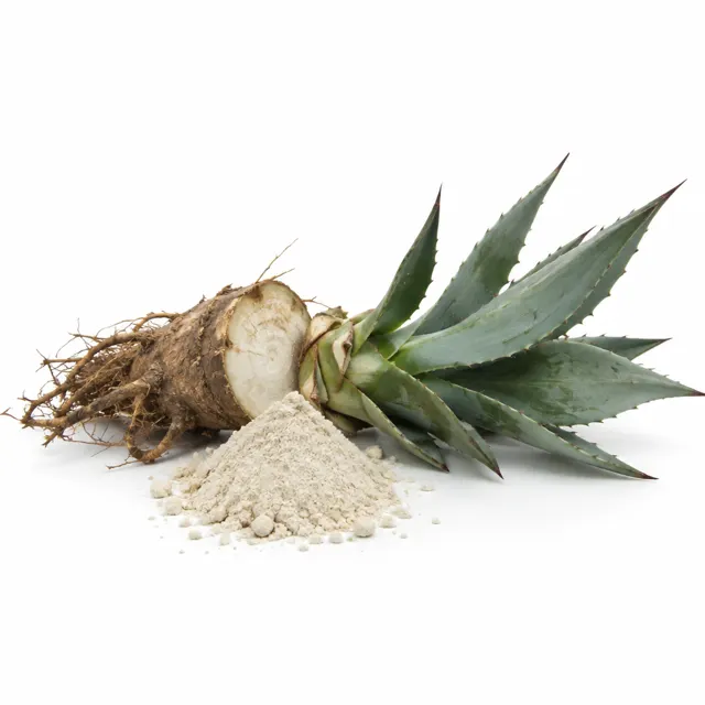 Organic Agave Inulin Powder