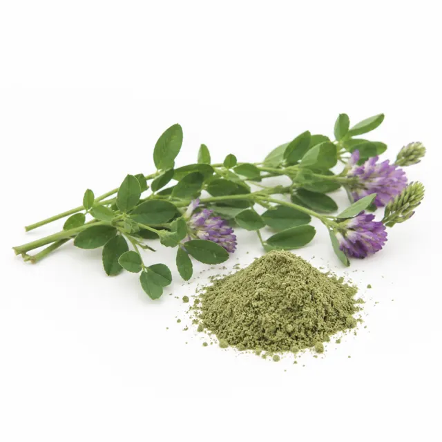 Organic Alfalfa Powder