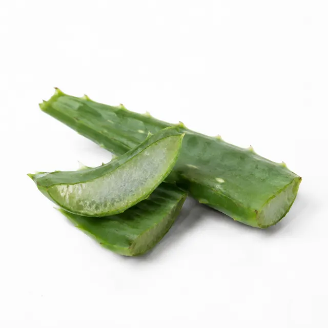 ORGANIC ALOE VERA GEL 10x