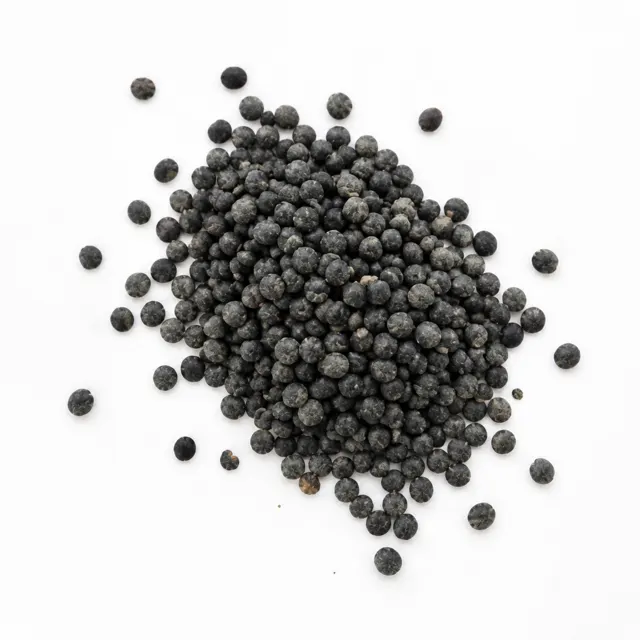 Organic Black Beluga Lentils