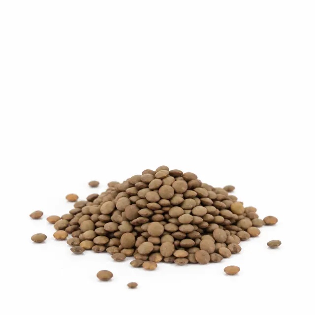 Organic Brown Lentils