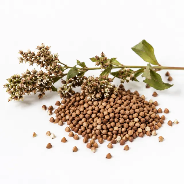 Organic Buckwheat
