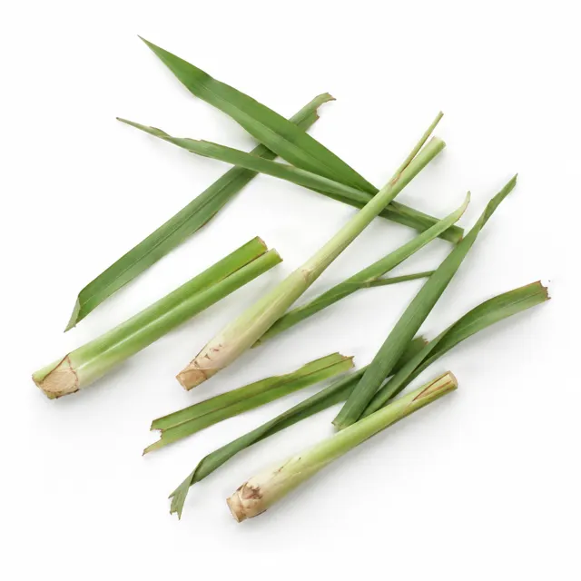 Organic Citronella Essential Oil