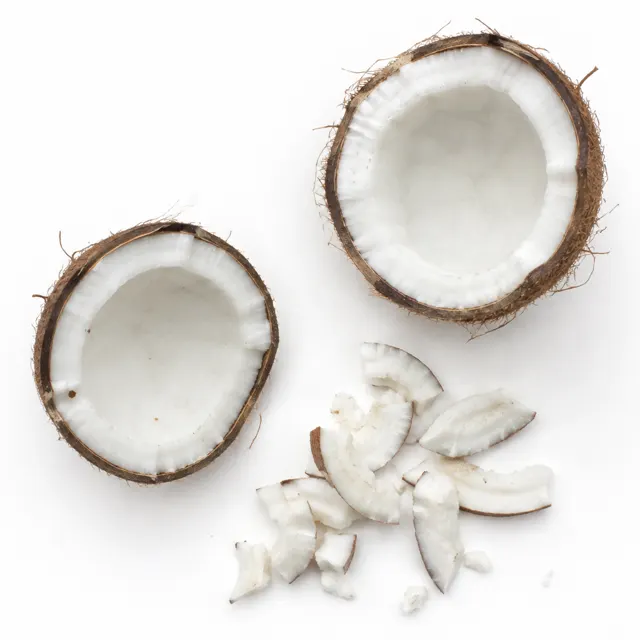 Organic Coconut Chips