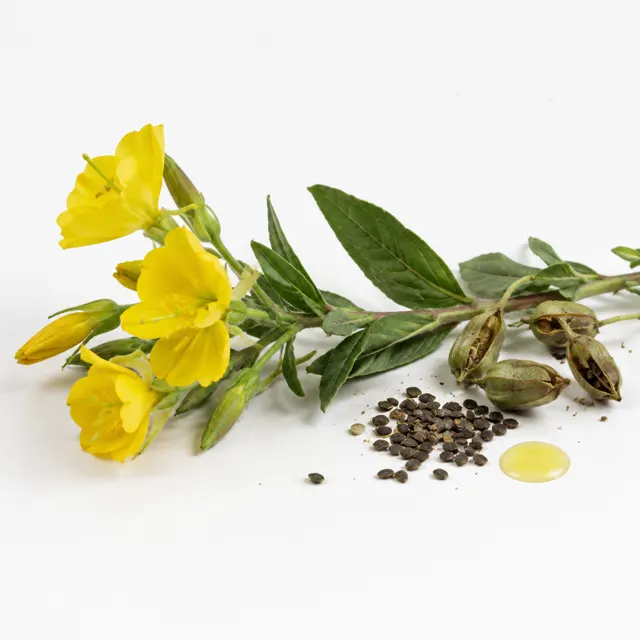 Organic Food Grade Evening Primrose Organic Oil Food Grade