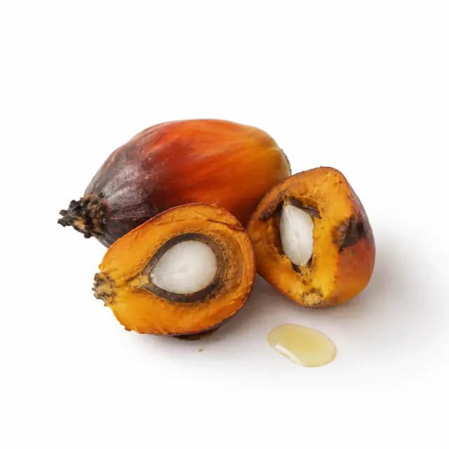 Organic Glycerin Palm Free Food Grade