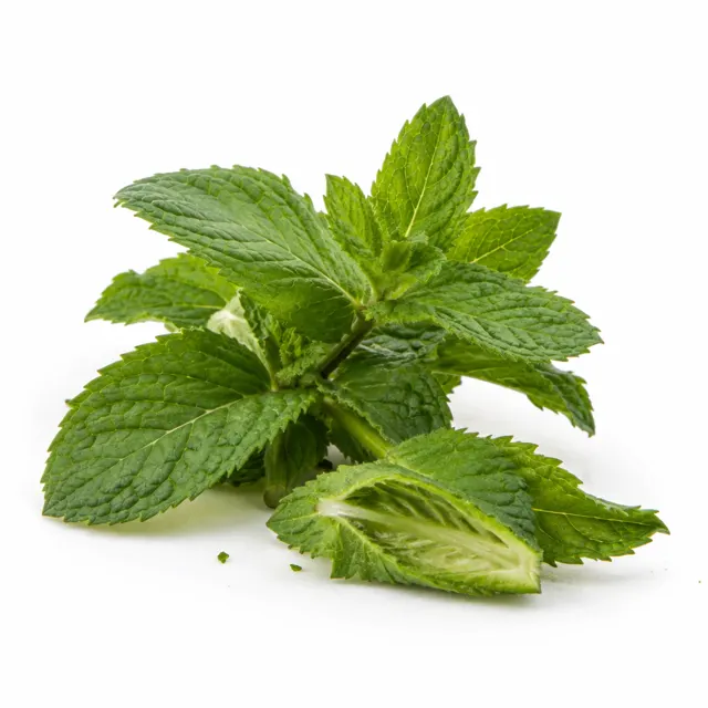 Organic Green Mint Essential Oil