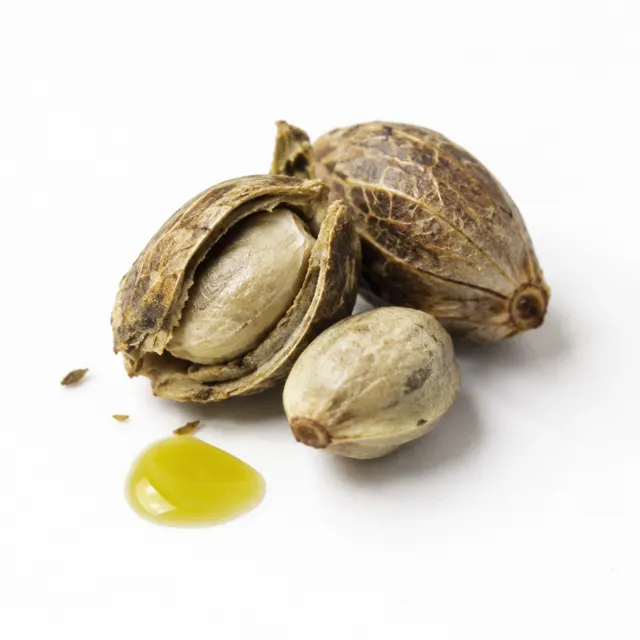 Organic Hemp Seed Oil