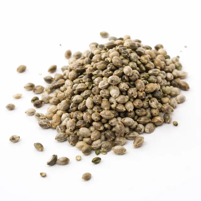 Organic Hemp Seeds