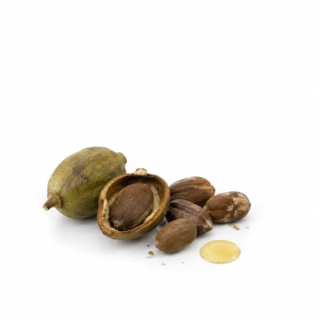 Organic Karanja Oil