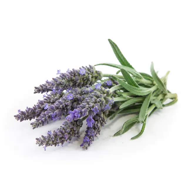 Organic Lavender Spike Essential Oil