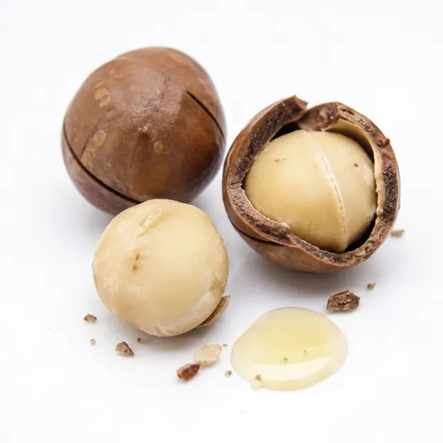 Organic Macadamia Oil
