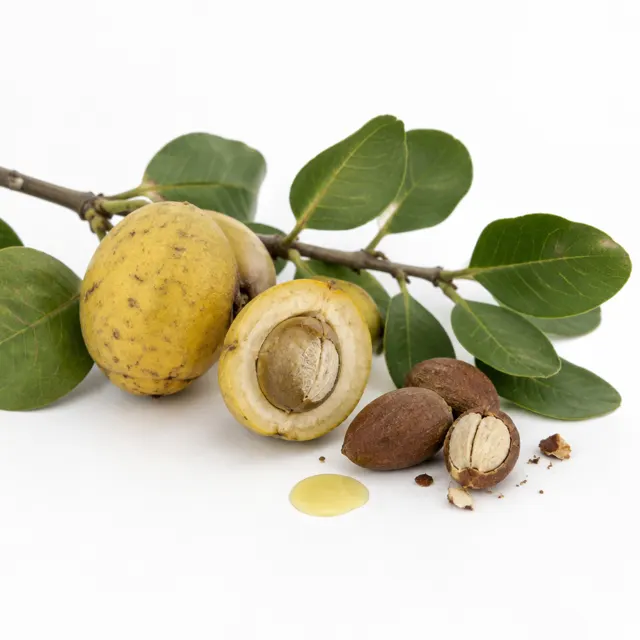 Organic Marula Oil