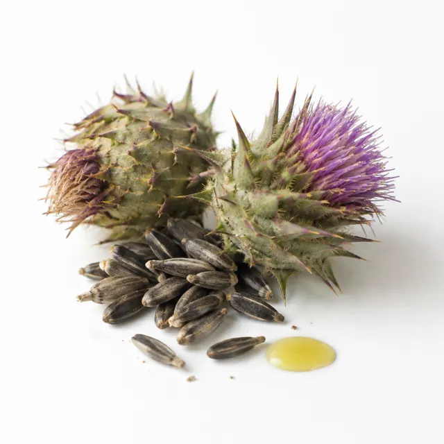 Organic Milk Thistle Oil