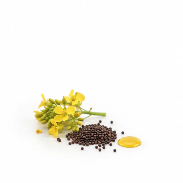 Organic Mustard Oil