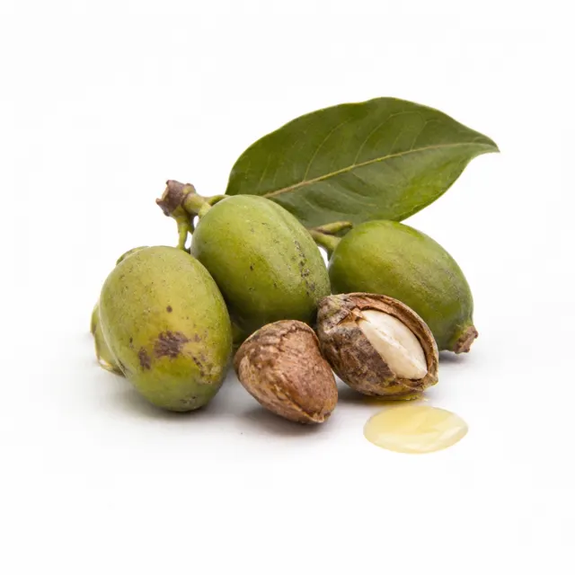 Organic Neem Oil