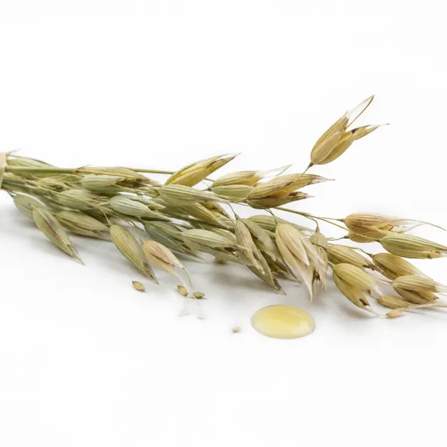 Organic Oat Oil