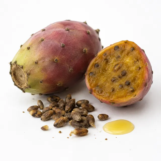 Organic Prickly Pear Oil